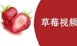 国产视频草莓,甜蜜滋味，映照时代光影