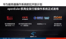 国产75页,揭秘中国电影产业的崛起之路