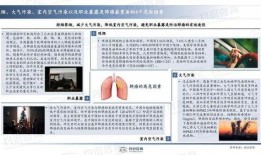 国产31页,揭秘中国电影产业的新篇章