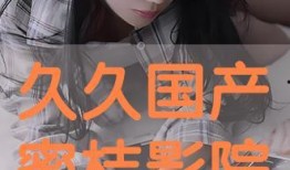 国产久久久久视频,探索中国影视新境界