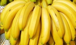 大香蕉国产区,揭秘国产影视产业的魅力与风采