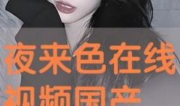 国产色在线视频,揭秘国内色情影视产业的现状与挑战