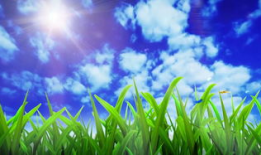 青草国产视频,探寻自然之美与生态和谐