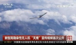 国产公开免费视频,带你领略光影魅力