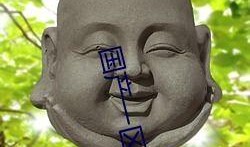 青草国产在线,探寻国产青草在线的魅力与风采