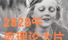 午夜免费视频国产在线,揭秘热门国产影视资源平台