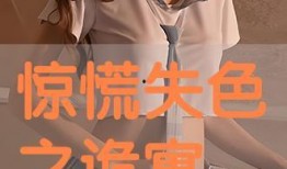 国产网红视频在线观看