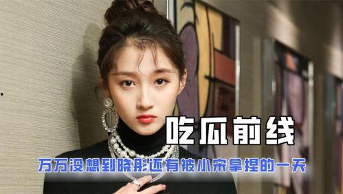 娱乐圈小说吃瓜,吃瓜群众眼中的明星风云录